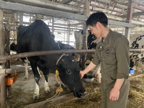 牛の世話をする吉本さん