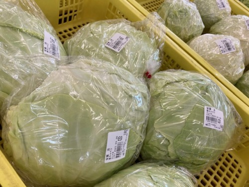 燦燦つやまで販売されているキャベツ