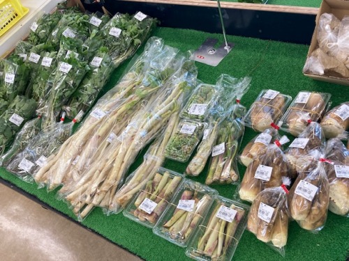 燦燦つやまで販売されている山菜