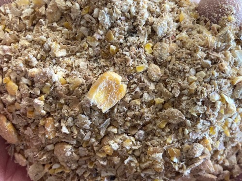 とうもろこし入りの餌