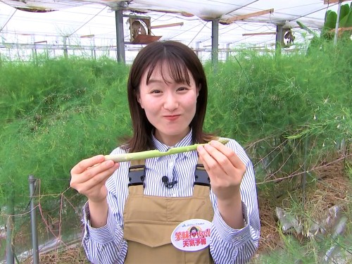 アスパラガスを試食する難波さん