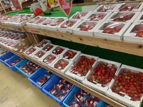 はなやか中央店の店内に並ぶイチゴ