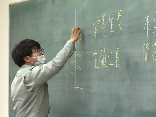 栽培の指導をするJA晴れの国岡山営農指導員の髙本翔太さん