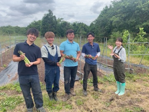 作業するきしもと農園のみなさんと古米さん