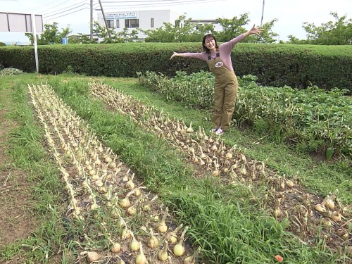 オーダーページ⑦たまねぎ屋みーちゃんさん専用ページ 女性スタッフリポート JAグループ岡山 笑味（えみ）ちゃん天気予報