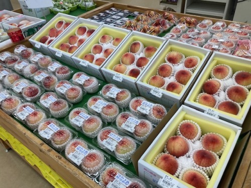 JA晴れの国岡山山手直売所で販売されているモモ