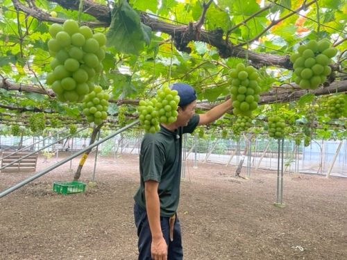 作業をする小見山さん