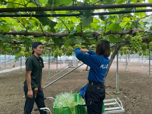 小見山さんから栽培について教わる尾崎さん