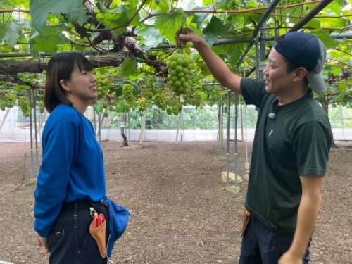 ブドウの栽培について教える小見山さん