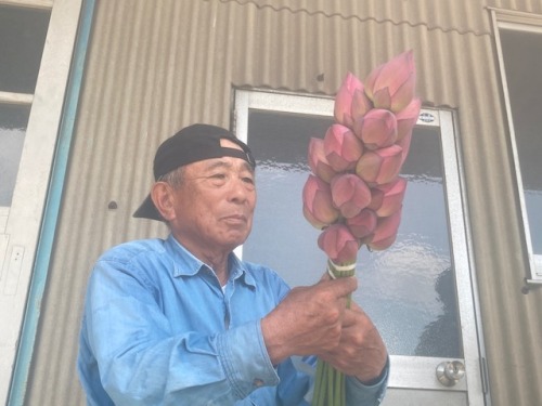 くらしき誠ハス出荷組合の守山周茂組合長