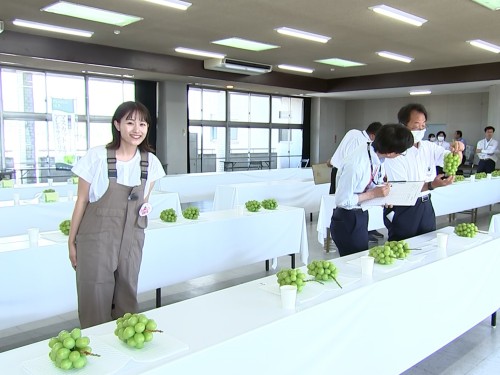 岡山県うまいくだもの共進会で取材をする難波さん