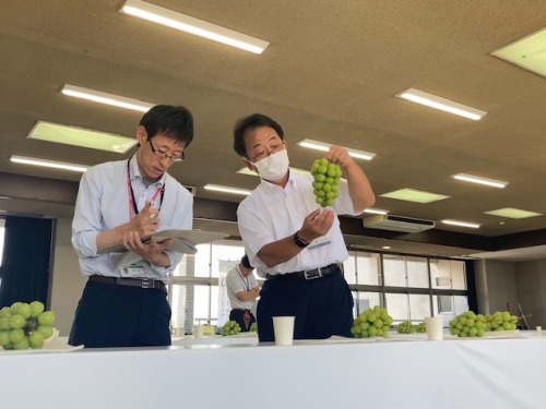 品定めをする審査員