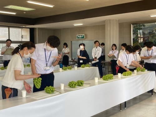 岡山県うまいくだもの共進会の審査