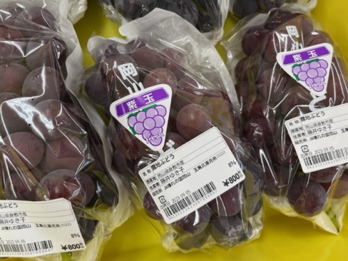メルカートたまきた果菜館内で販売されているブドウ