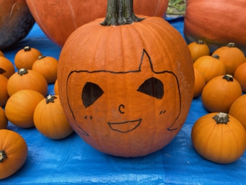 古米さんが絵付けをしたハロウィーンカボチャ