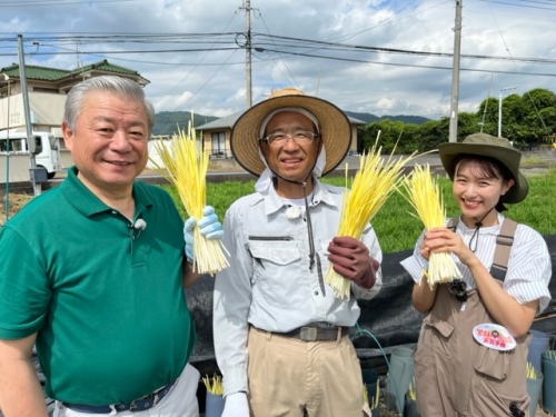 金光副組合長と井平さんと難波さん