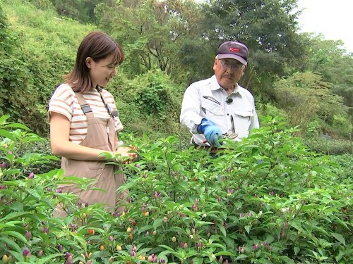 難波アナと小見山賢二さん