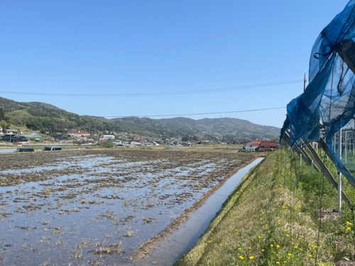 吉備中央町の田園風景