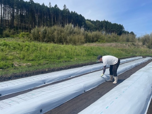 作業する室山さん