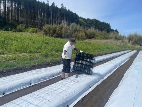 作業する室山さん