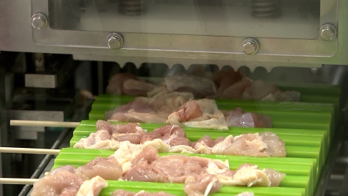 焼き鳥が機械に並べられた様子