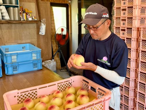 出荷作業をする赤澤さん