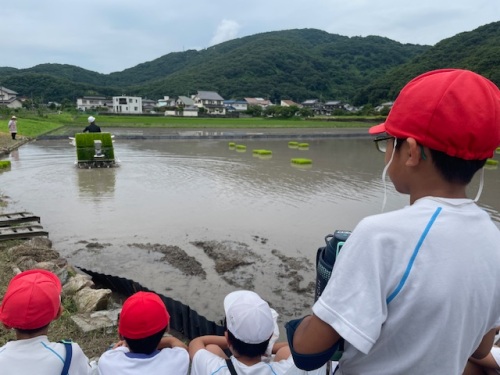 田植えの様子を見る生徒たち
