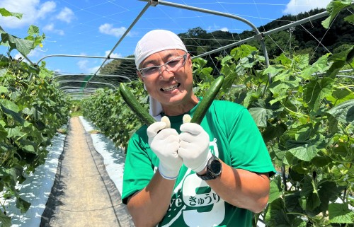 JA晴れの国岡山　久米南キュウリ部会　杉山美明さん