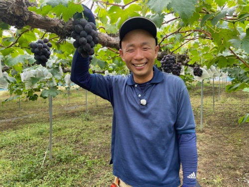 JA岡山加茂川ぶどう部会の菅野光起さん