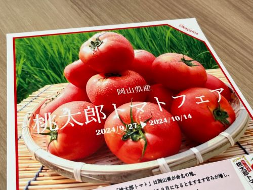 岡山県産桃太郎トマトフェアのチラシ