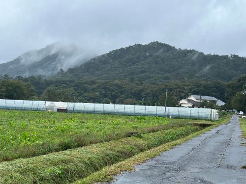 ビニールハウス