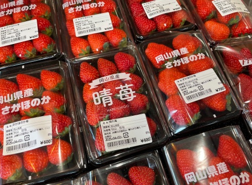 販売中の苺