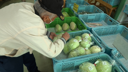 地元生産者が新鮮な農産物を出荷中