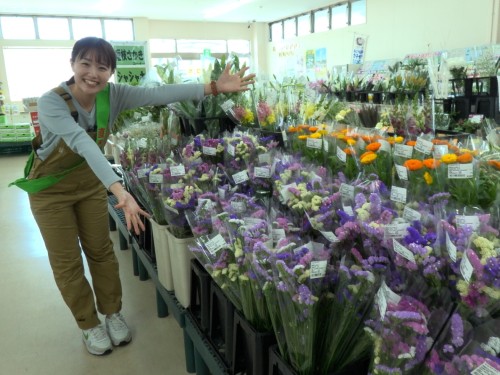 色とりどりのお花