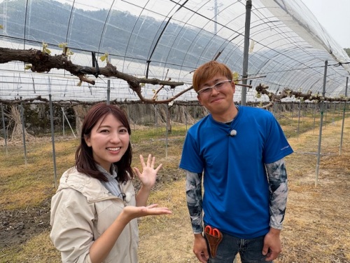原さんと古米