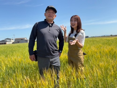 飯田さんと古米