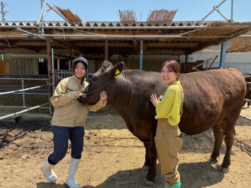 生徒さんと牛と古米