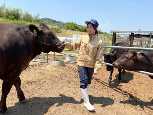 生徒さんと牛