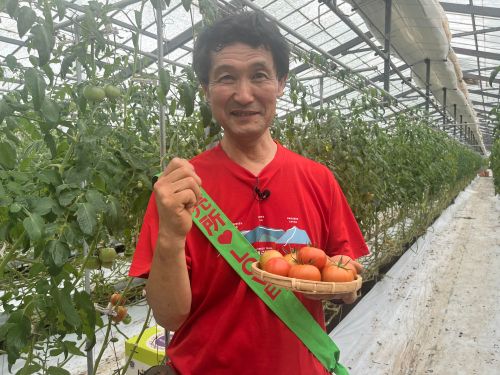 4棟のハウスでトマトを育てている井上さん