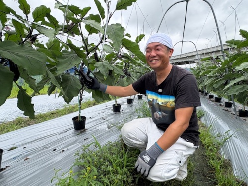 和気町でナスを作っている男性を取材しました