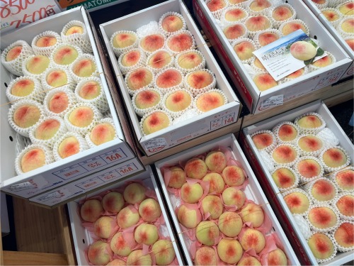 贈答用の白桃も販売
