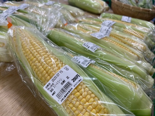 甘みがのったトウモロコシ