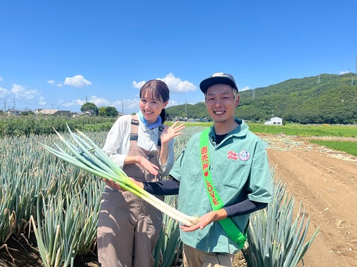 白ネギを育てている、尾形さんの畑