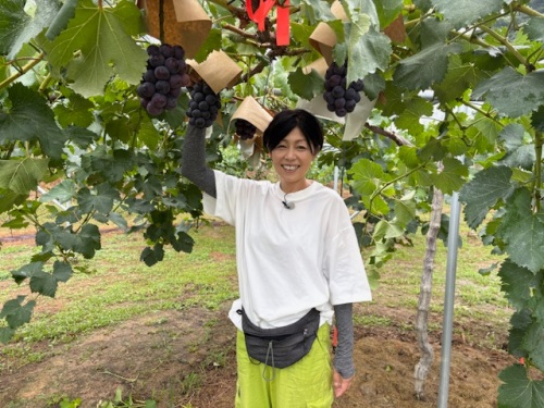 JA晴れの国岡山 中央ぶどう部会 峯 ゆりあさん