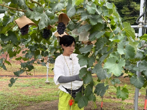 農家の“美意識”を感じる作物だと、その魅力にひかれました。