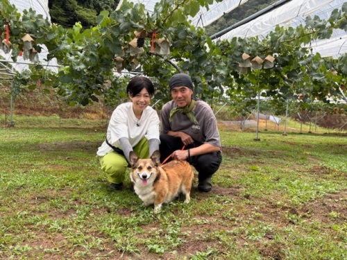 峯さんこの春、結婚したばかり