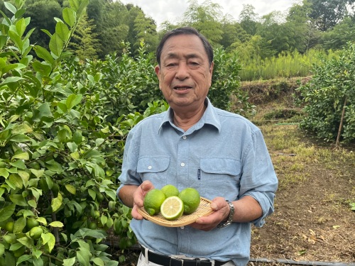 レモン栽培10年目の益田敏雄さんの畑