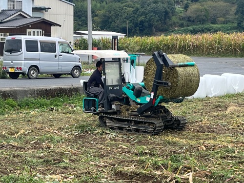 トウモロコシの実と茎葉をまるごと刈り取ってロールを作る