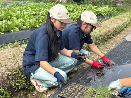 新見高校 生物生産科の1年生