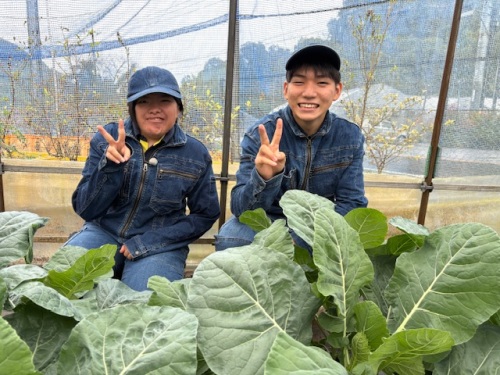 井原高校 地域生活科の3年生です